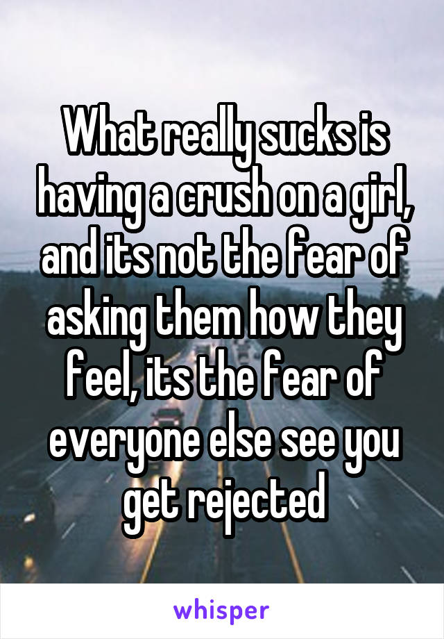 What really sucks is having a crush on a girl, and its not the fear of asking them how they feel, its the fear of everyone else see you get rejected
