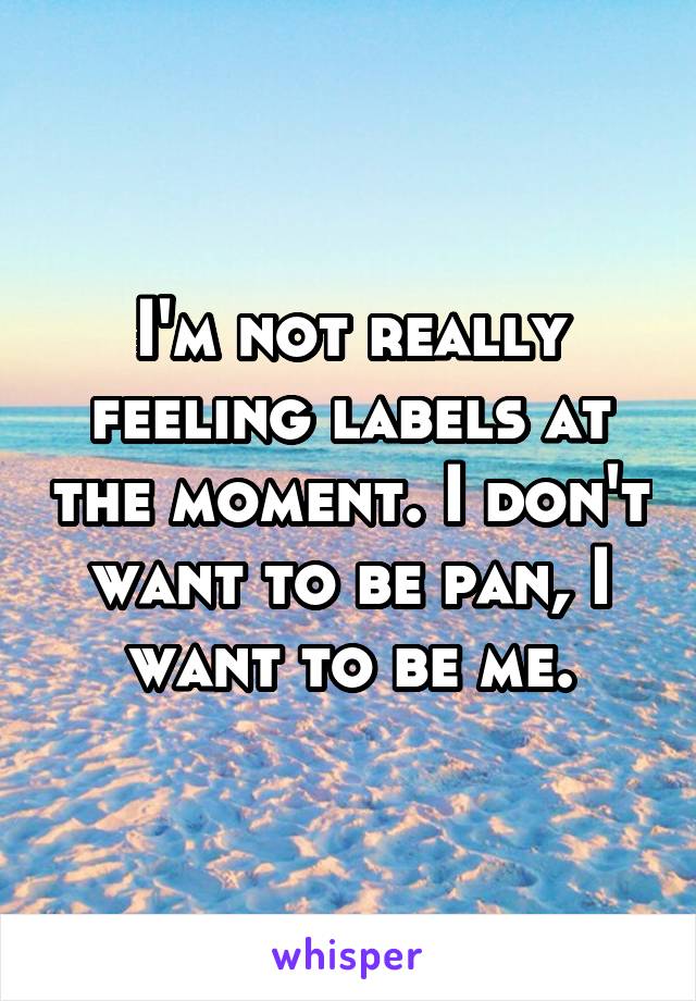 I'm not really feeling labels at the moment. I don't want to be pan, I want to be me.