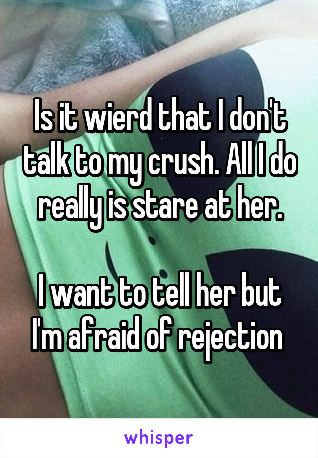 Is it wierd that I don't talk to my crush. All I do really is stare at her.

I want to tell her but I'm afraid of rejection 