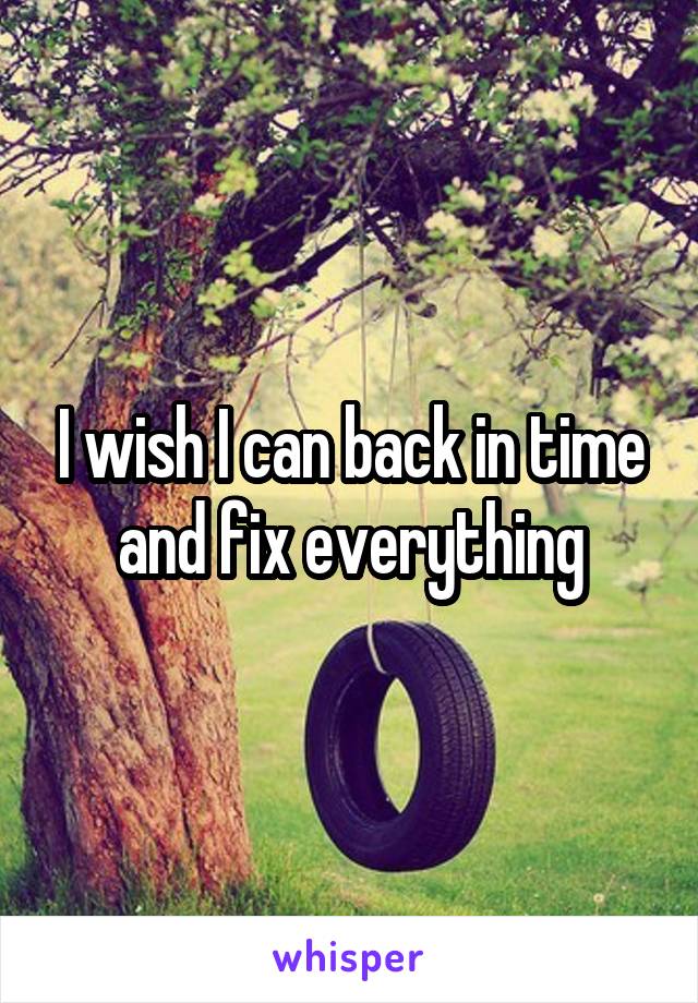 I wish I can back in time and fix everything