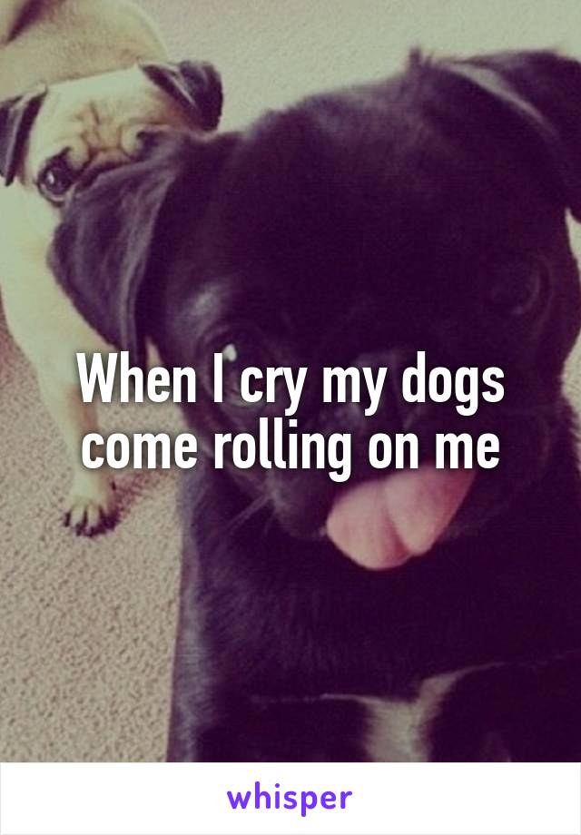 When I cry my dogs come rolling on me