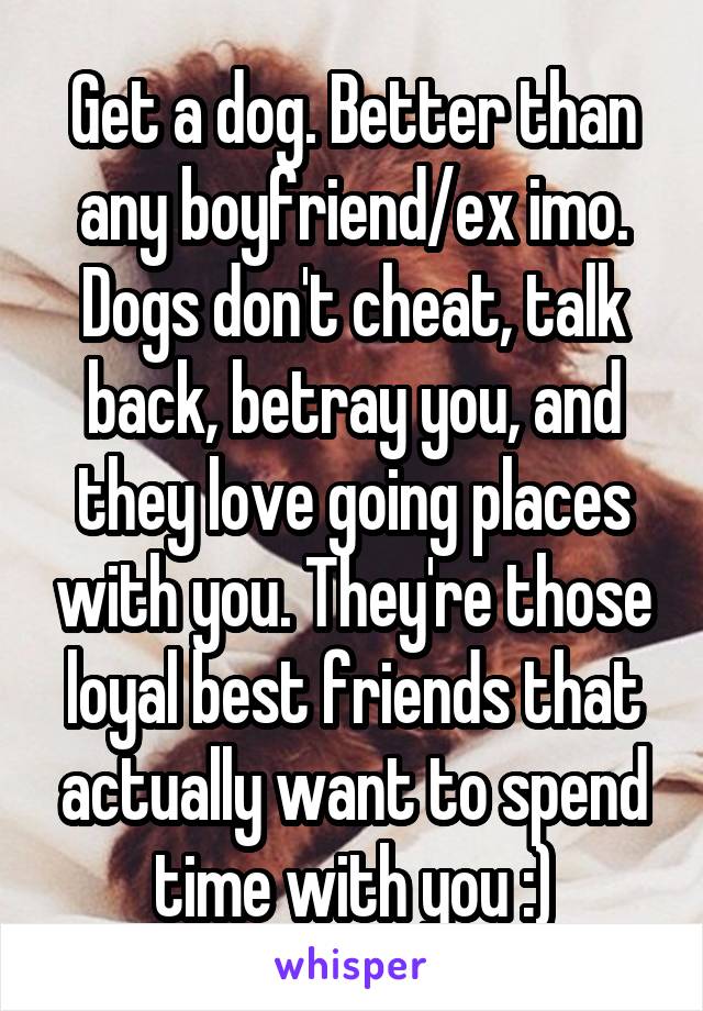 Get a dog. Better than any boyfriend/ex imo. Dogs don't cheat, talk back, betray you, and they love going places with you. They're those loyal best friends that actually want to spend time with you :)