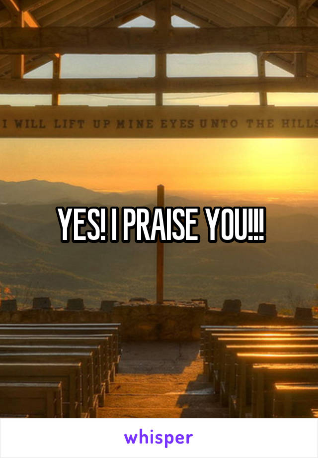 YES! I PRAISE YOU!!!