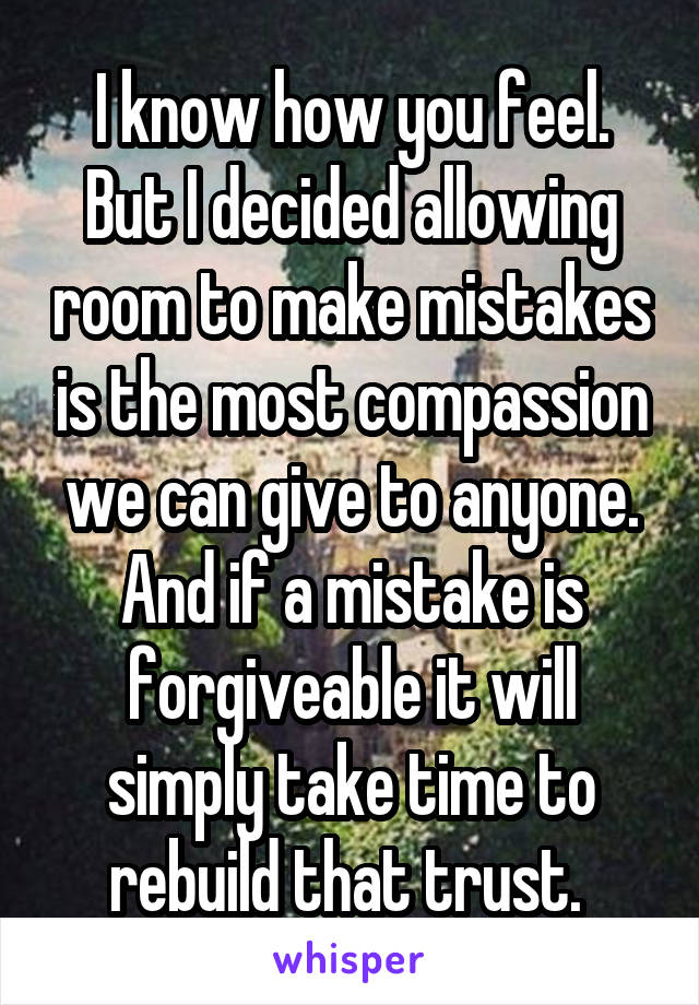 I know how you feel. But I decided allowing room to make mistakes is the most compassion we can give to anyone. And if a mistake is forgiveable it will simply take time to rebuild that trust. 