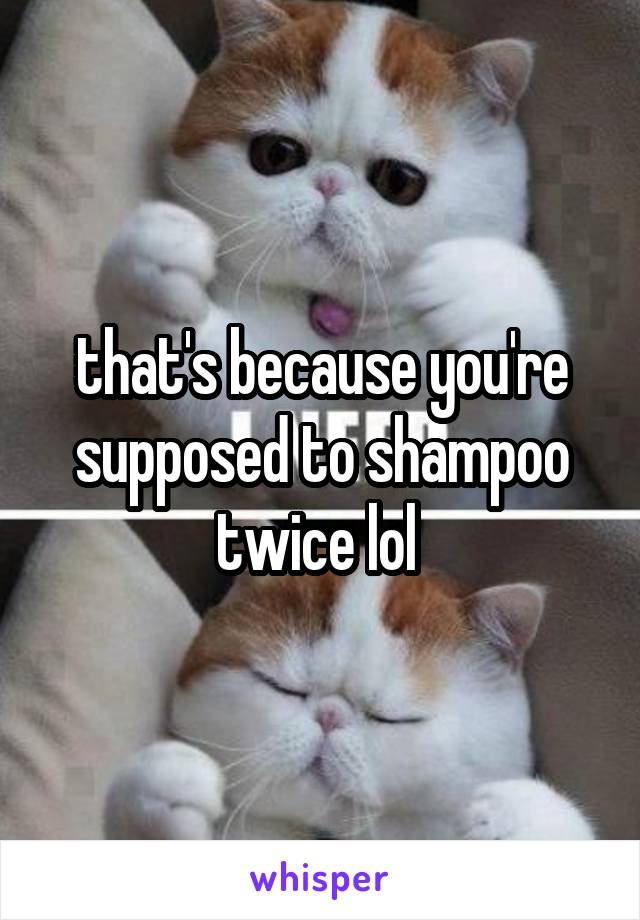 that's because you're supposed to shampoo twice lol 