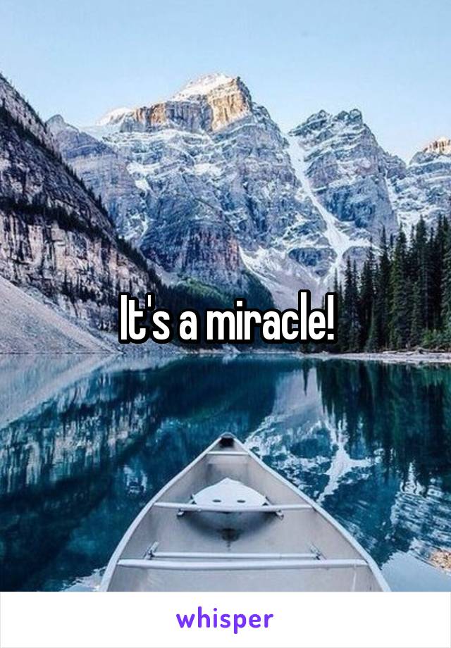 It's a miracle!