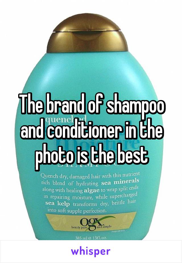 The brand of shampoo and conditioner in the photo is the best