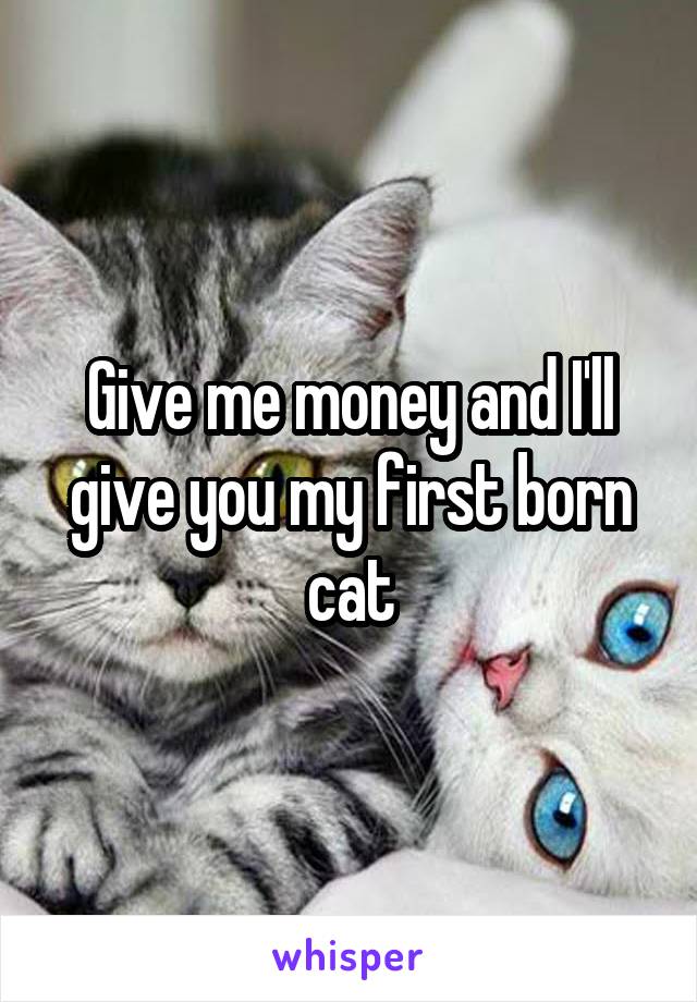 give-me-money-and-i-ll-give-you-my-first-born-cat