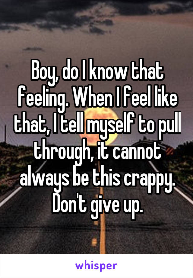 Boy, do I know that feeling. When I feel like that, I tell myself to pull through, it cannot always be this crappy. Don't give up.