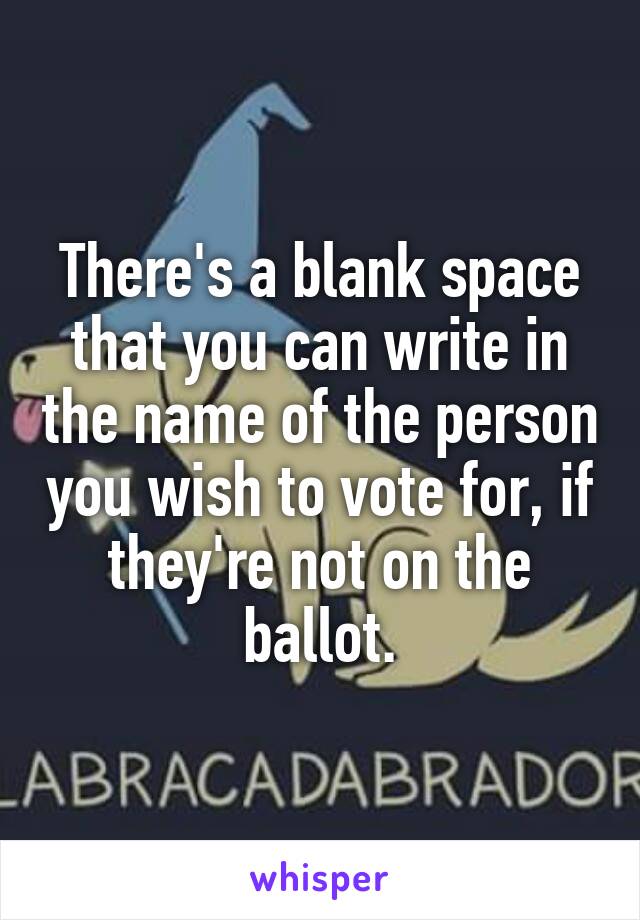 There's a blank space that you can write in the name of the person you wish to vote for, if they're not on the ballot.