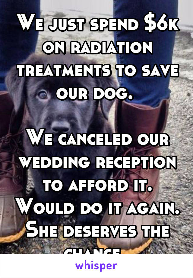 We just spend $6k on radiation treatments to save our dog. 

We canceled our wedding reception to afford it. Would do it again. She deserves the chance. 