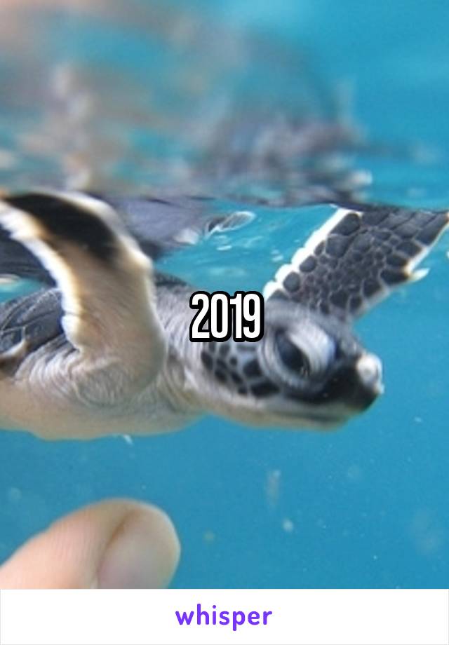 2019