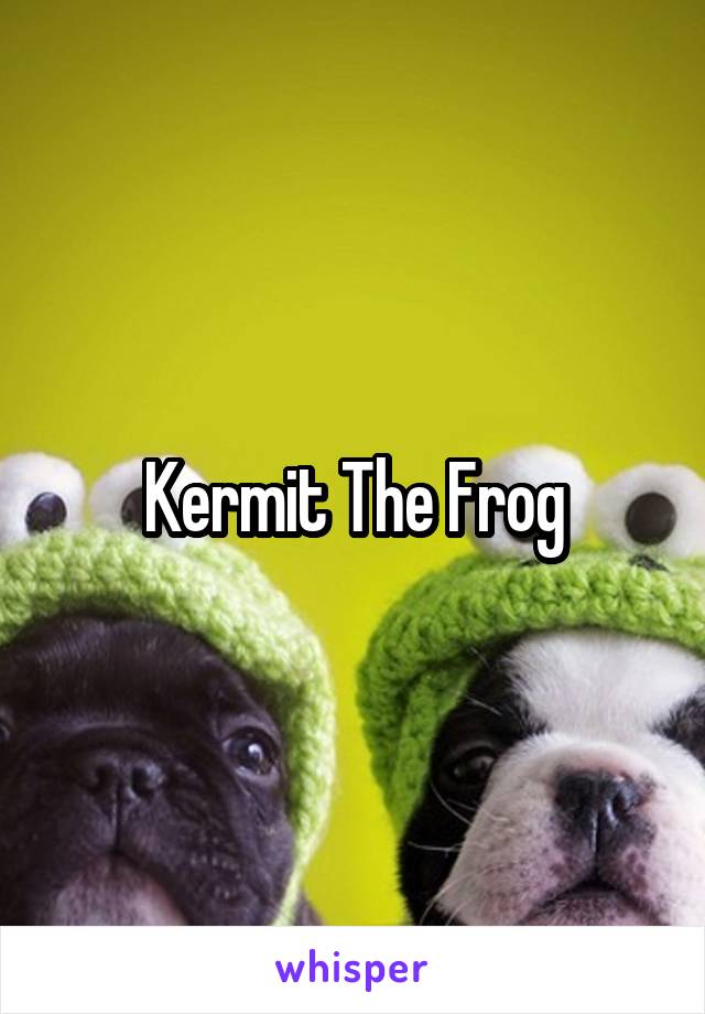 Kermit The Frog