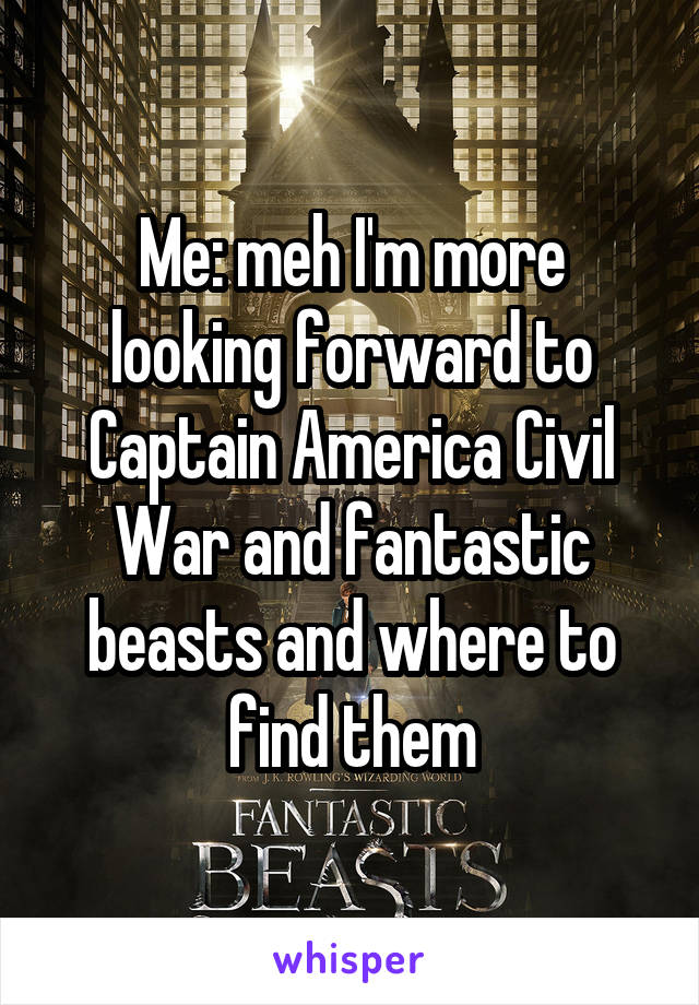 Me: meh I'm more looking forward to Captain America Civil War and fantastic beasts and where to find them