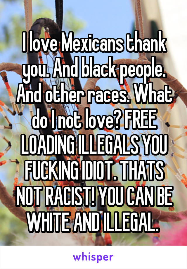 I love Mexicans thank you. And black people. And other races. What do I not love? FREE LOADING ILLEGALS YOU FUCKING IDIOT. THATS NOT RACIST! YOU CAN BE WHITE AND ILLEGAL. 