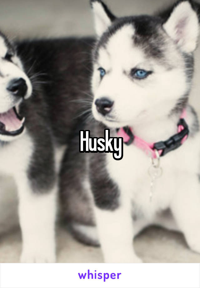 Husky