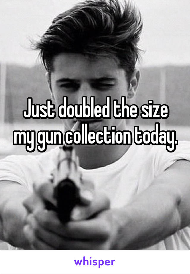 Just doubled the size my gun collection today. 