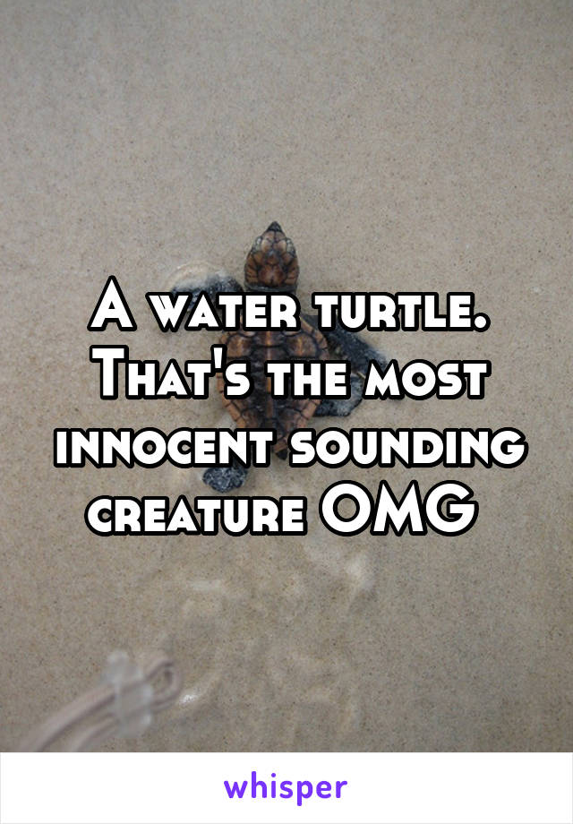 A water turtle. That's the most innocent sounding creature OMG 