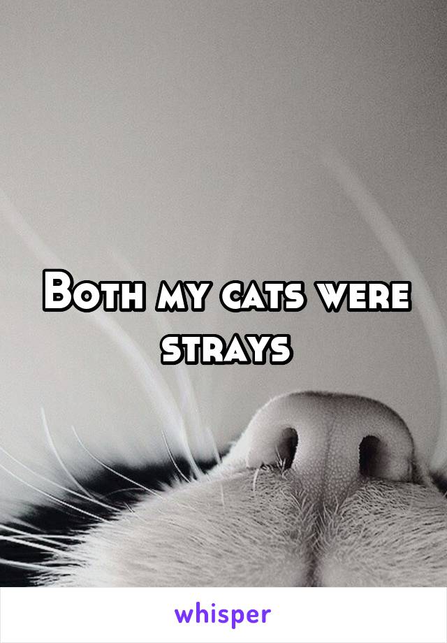 Both my cats were strays