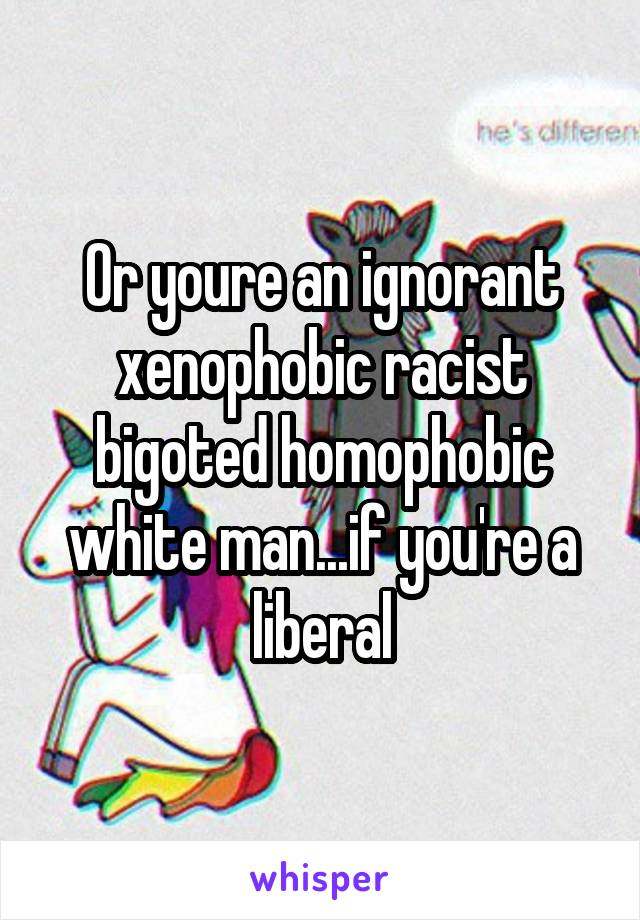 Or youre an ignorant xenophobic racist bigoted homophobic white man...if you're a liberal