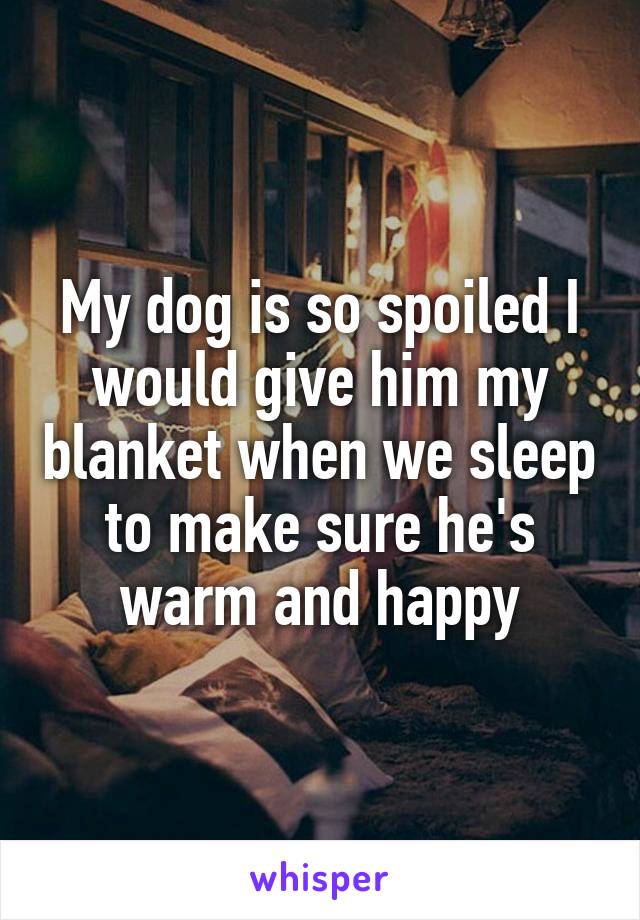 My dog is so spoiled I would give him my blanket when we sleep to make sure he's warm and happy