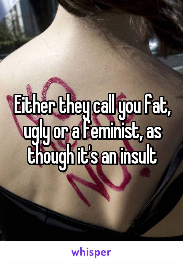 Either they call you fat, ugly or a feminist, as though it's an insult