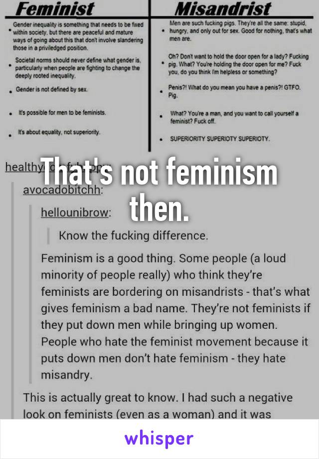 That's not feminism then.

