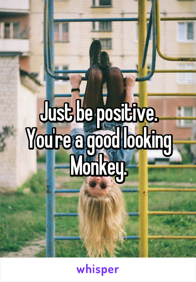 Just be positive.
You're a good looking
Monkey.