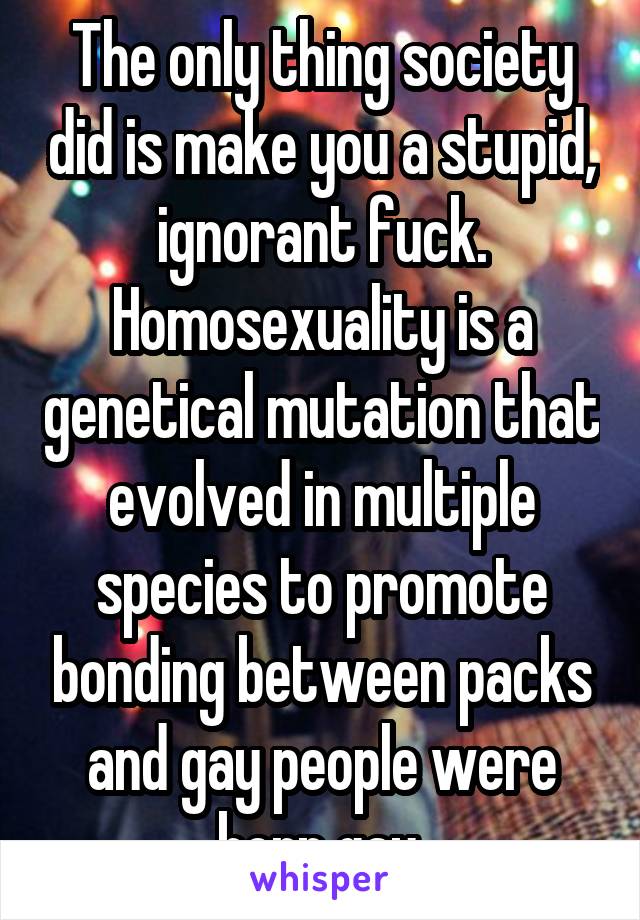 The only thing society did is make you a stupid, ignorant fuck. Homosexuality is a genetical mutation that evolved in multiple species to promote bonding between packs and gay people were born gay.