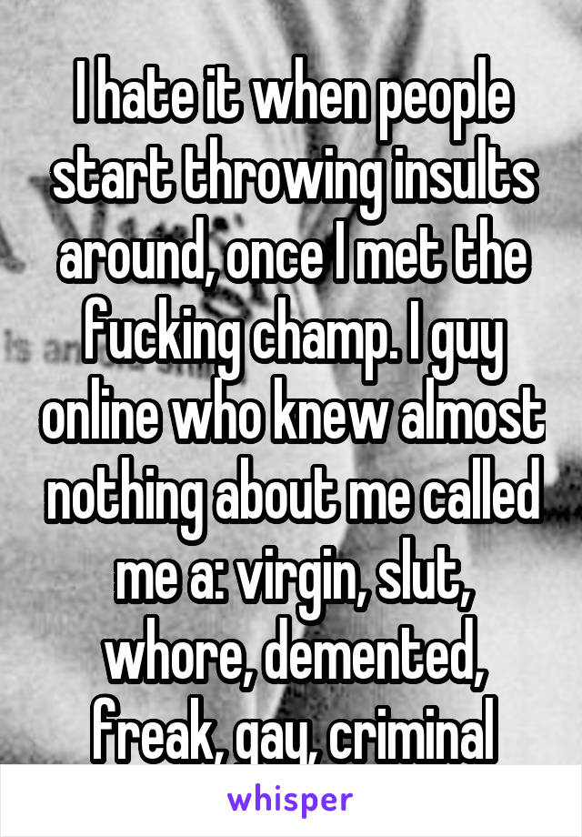 I hate it when people start throwing insults around, once I met the fucking champ. I guy online who knew almost nothing about me called me a: virgin, slut, whore, demented, freak, gay, criminal