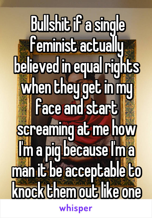  Bullshit if a single feminist actually believed in equal rights when they get in my face and start screaming at me how I'm a pig because I'm a man it be acceptable to knock them out like one