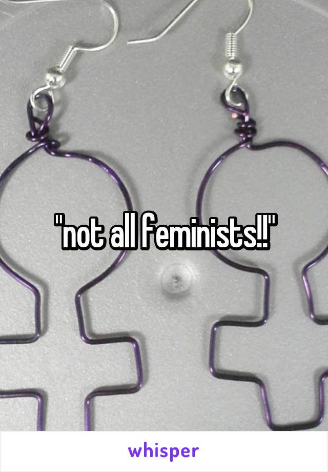 "not all feminists!!"