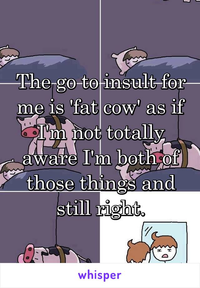 The go to insult for me is 'fat cow' as if I'm not totally aware I'm both of those things and still right.