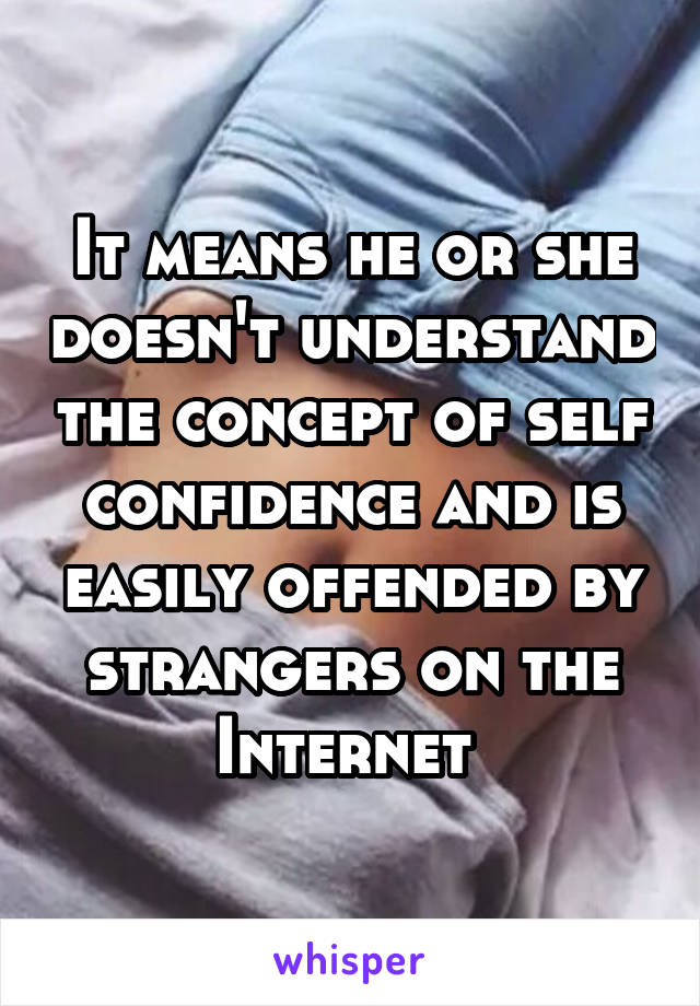 It means he or she doesn't understand the concept of self confidence and is easily offended by strangers on the Internet 