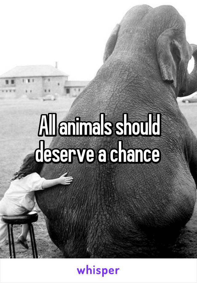 All animals should deserve a chance 