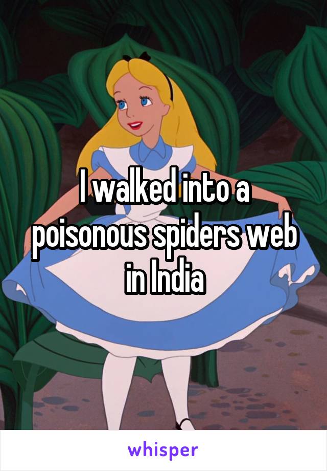 I walked into a poisonous spiders web in India