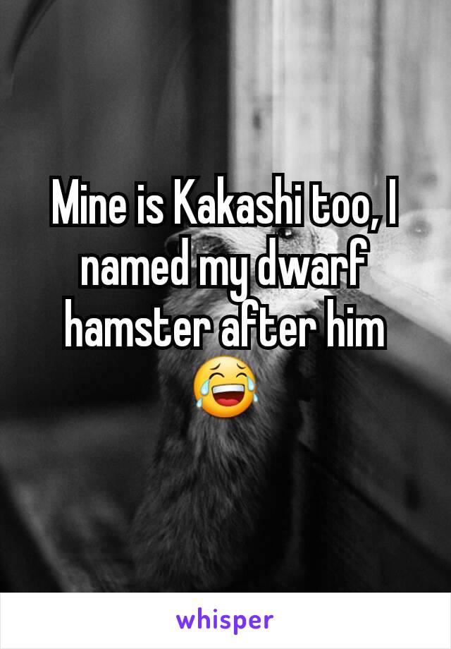 Mine is Kakashi too, I named my dwarf hamster after him 😂