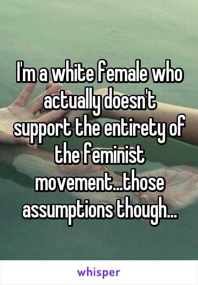 I'm a white female who actually doesn't support the entirety of the feminist movement...those assumptions though...