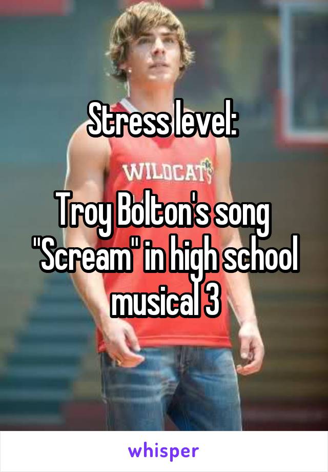 Stress level: 

Troy Bolton's song  "Scream" in high school musical 3
