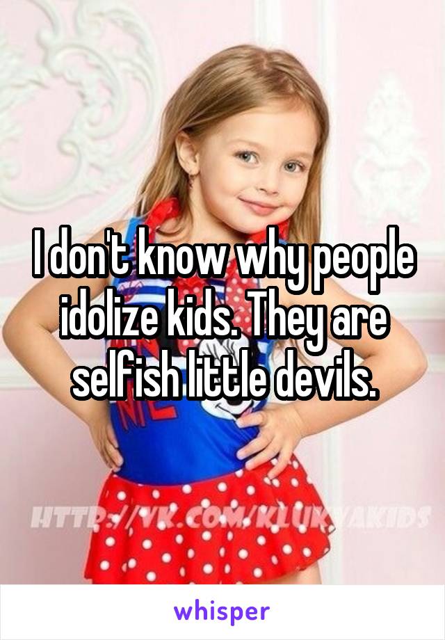 I don't know why people idolize kids. They are selfish little devils.