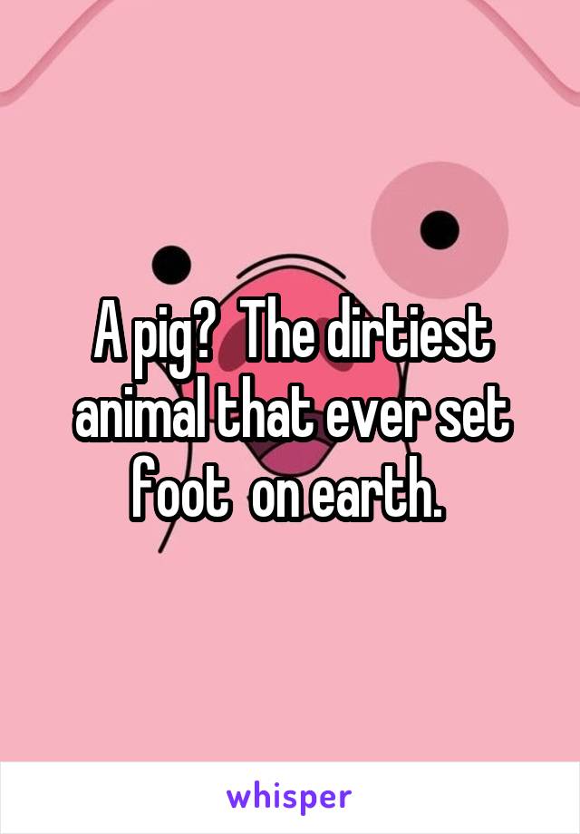 A pig?  The dirtiest animal that ever set foot  on earth. 