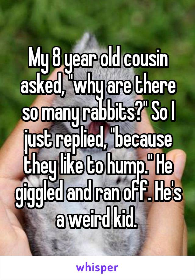 My 8 year old cousin asked, "why are there so many rabbits?" So I just replied, "because they like to hump." He giggled and ran off. He's a weird kid. 