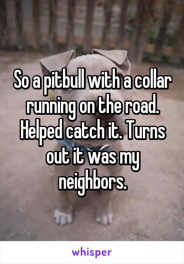 So a pitbull with a collar running on the road. Helped catch it. Turns out it was my neighbors.