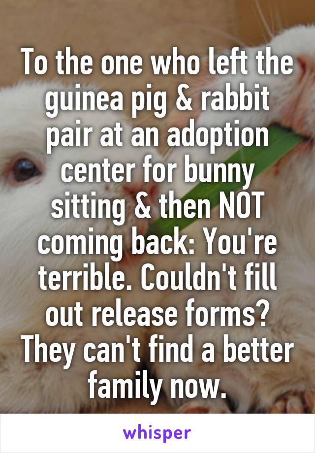 To the one who left the guinea pig & rabbit pair at an adoption center for bunny sitting & then NOT coming back: You're terrible. Couldn't fill out release forms? They can't find a better family now.