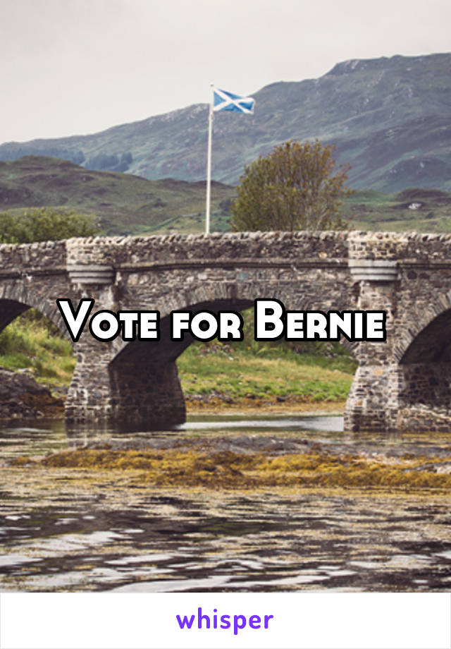 Vote for Bernie 