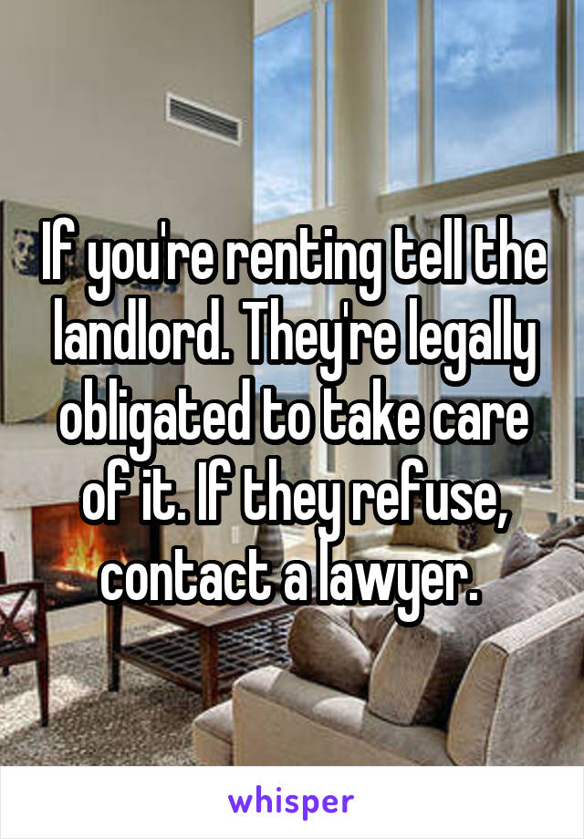 If you're renting tell the landlord. They're legally obligated to take care of it. If they refuse, contact a lawyer. 