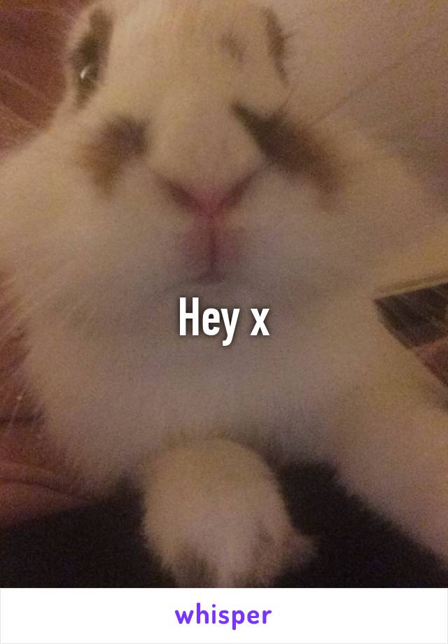 Hey x