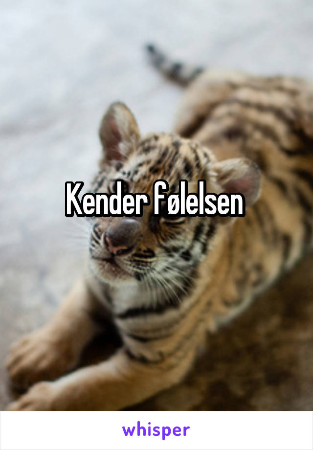 Kender følelsen 
