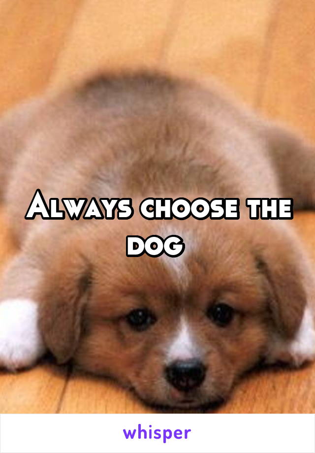 Always choose the dog 