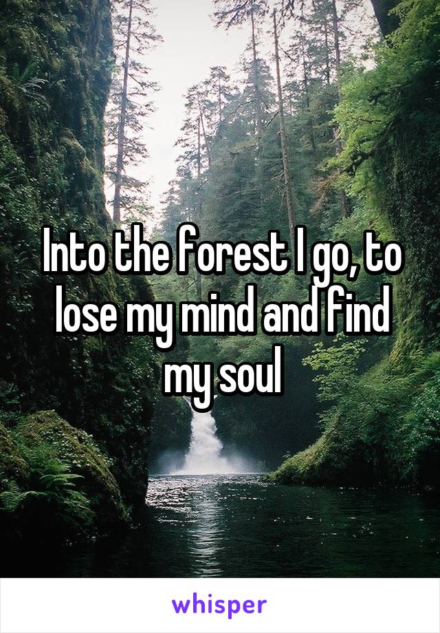 Into the forest I go, to lose my mind and find my soul